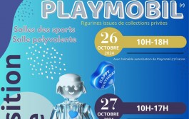 Exposition Playmobil